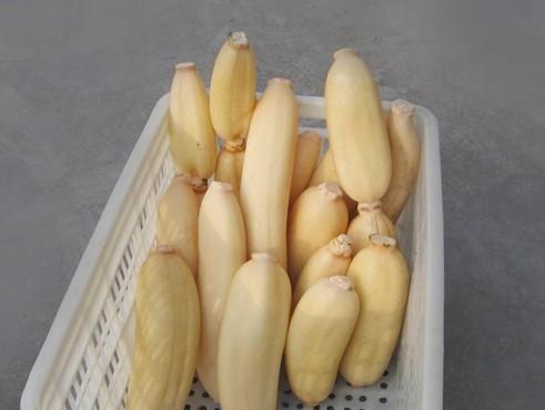 建造蓮藕冷藏庫(kù)多少錢一平，100噸的蓮藕要多大庫(kù)
