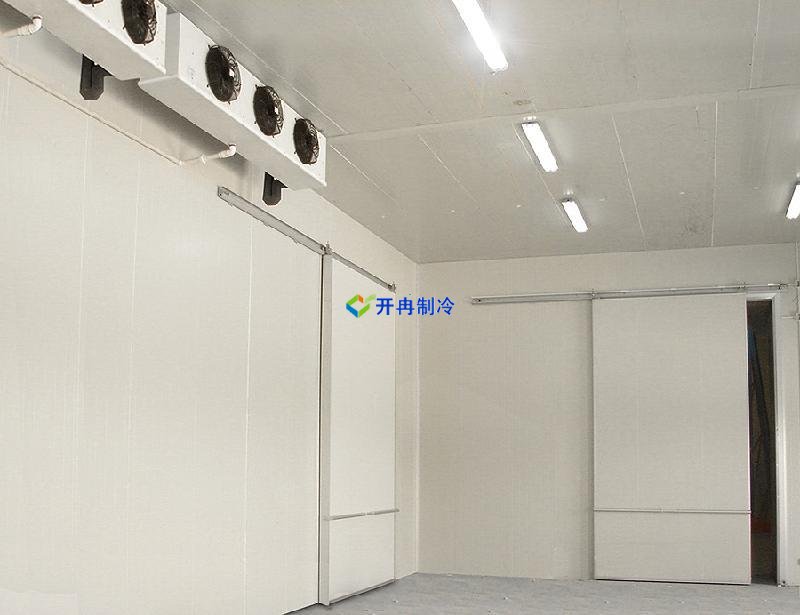 屠宰場(chǎng)建造1000㎡豬肉冷凍庫建造收費(fèi)標(biāo)準(zhǔn)